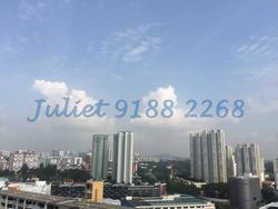 Blk 38 Jalan Rumah Tinggi (Bukit Merah), HDB 4 Rooms #89378332